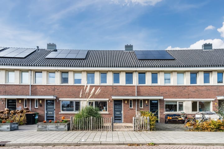 Juttepeer 11 in Winkel foto