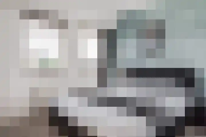 Juttepeer 12 Winkel thumbnail 11