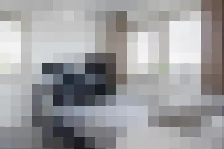 Juttepeer 12 Winkel thumbnail 14