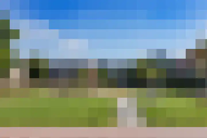 Juttepeer 12 Winkel thumbnail 29