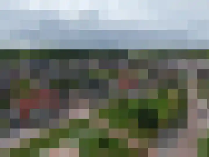 Juttepeer 12 Winkel thumbnail 30