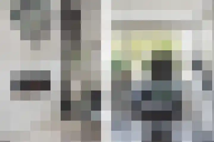 Juttepeer 12 Winkel thumbnail 6