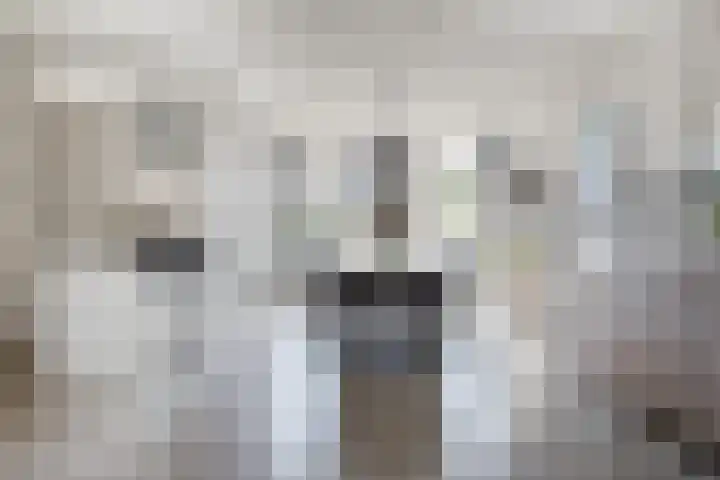Juttepeer 12 Winkel thumbnail 7