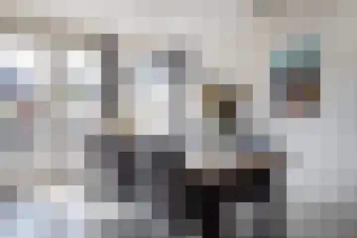 Juttepeer 12 Winkel thumbnail 8