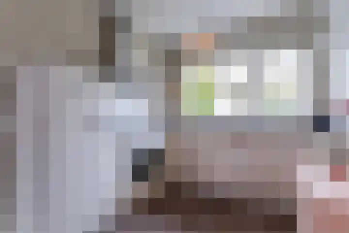 Juttepeer 19 Winkel thumbnail 12