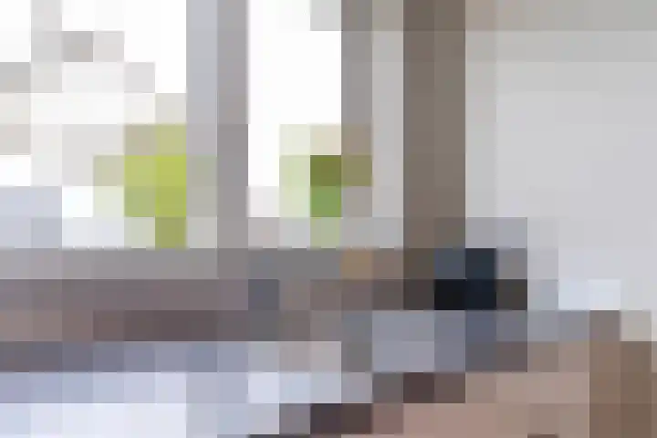 Juttepeer 19 Winkel thumbnail 13