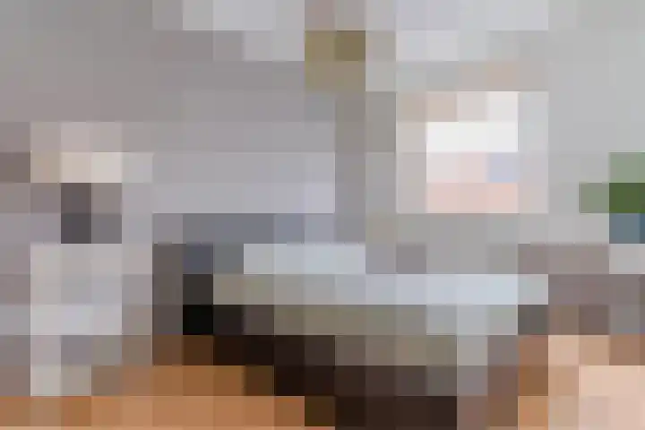 Juttepeer 19 Winkel thumbnail 18