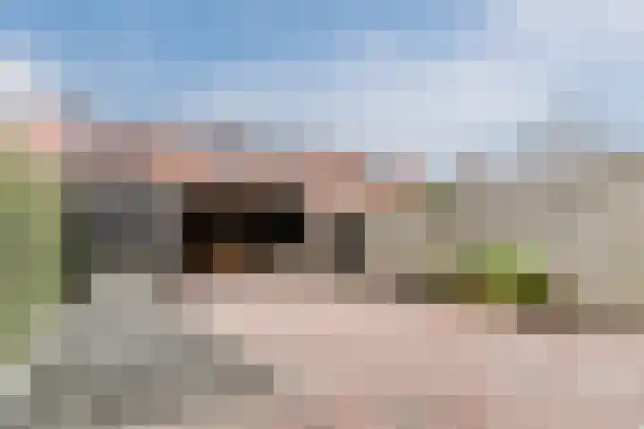 Juttepeer 19 Winkel thumbnail 36