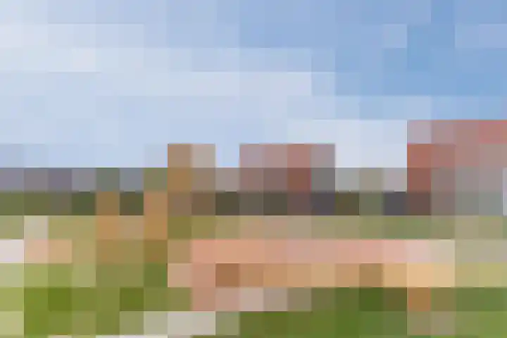 Juttepeer 19 Winkel thumbnail 42