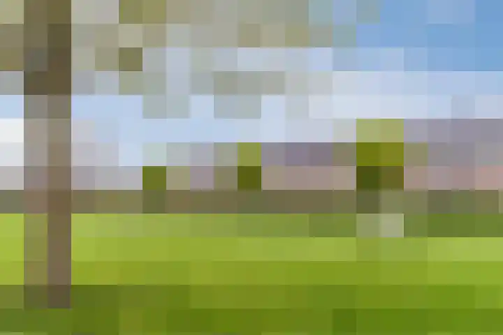 Juttepeer 19 Winkel thumbnail 43