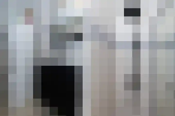 Juweellaan 570 Zoetermeer thumbnail 16