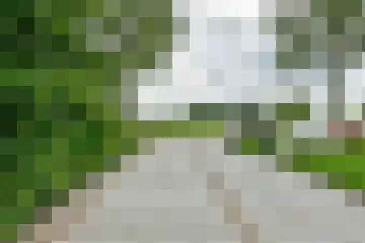 Kaagweg 149 Abbenes thumbnail 15