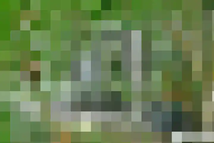 Kaagweg 149 Abbenes thumbnail 20