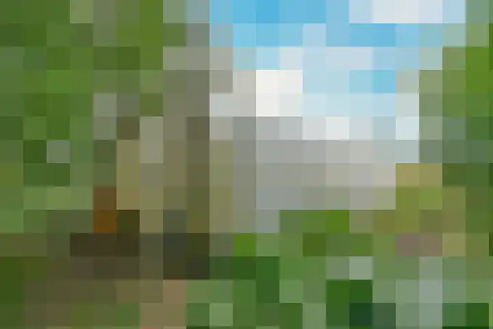 Kaagweg 149 Abbenes thumbnail 24