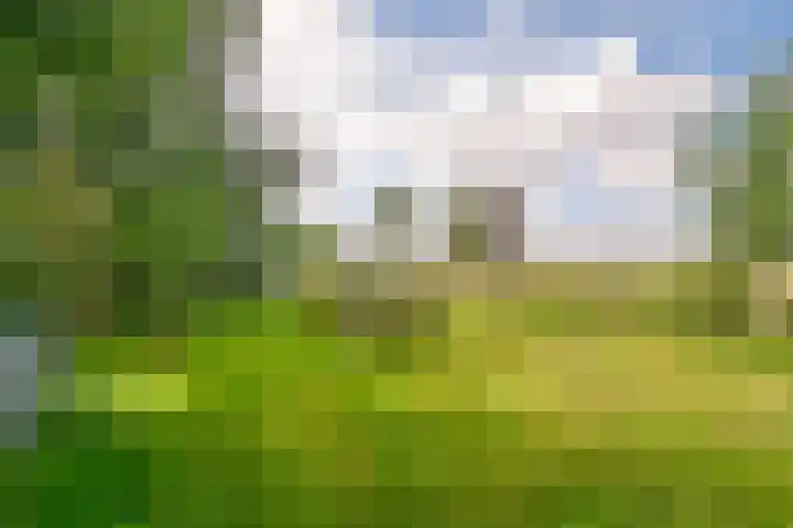 Kaagweg 149 Abbenes thumbnail 25