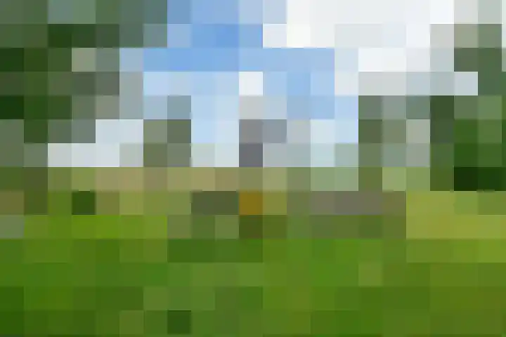 Kaagweg 149 Abbenes thumbnail 26