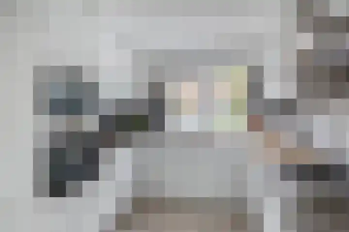 Kaagwerf 24 Gouda thumbnail 10