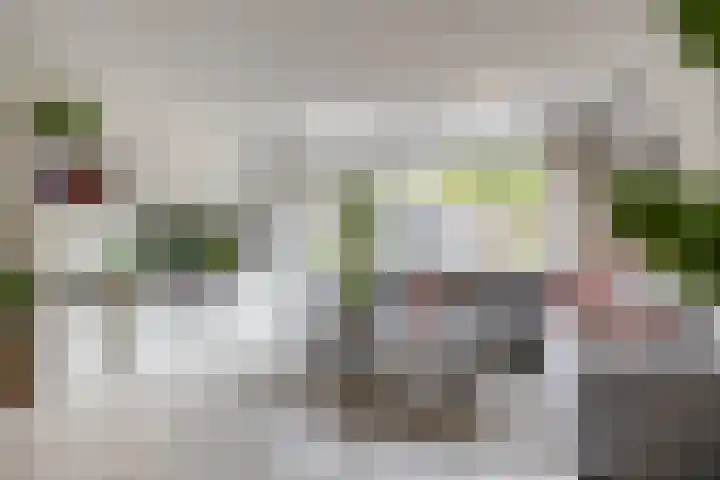 Kaagwerf 24 Gouda thumbnail 13