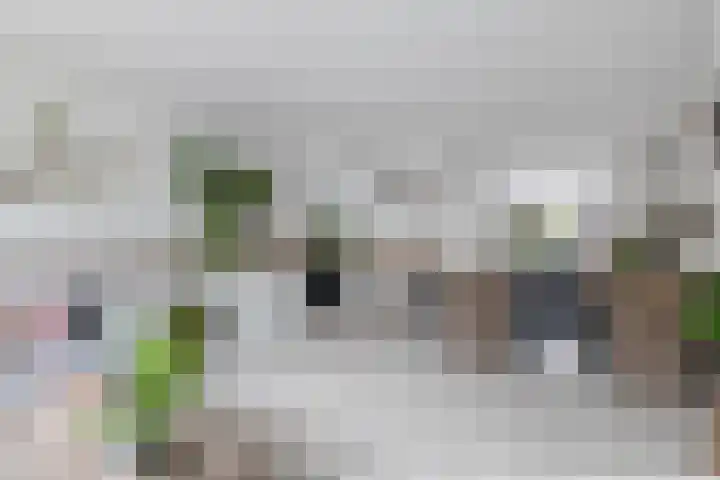 Kaagwerf 24 Gouda thumbnail 15