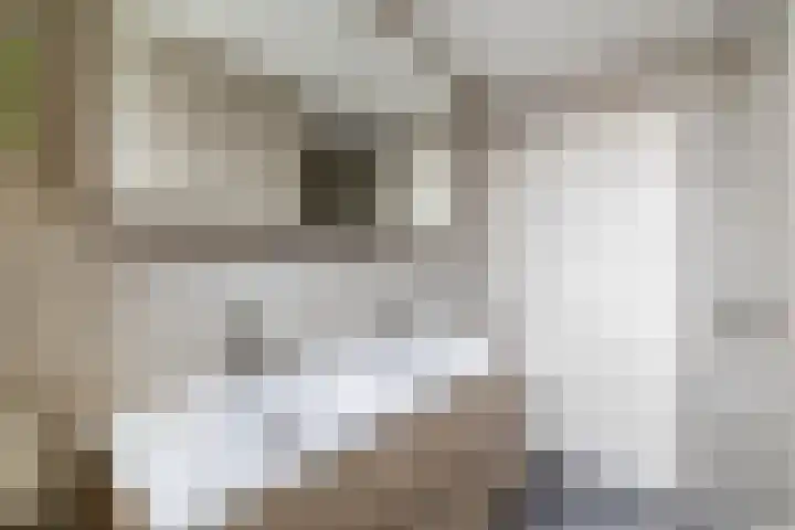 Kaagwerf 24 Gouda thumbnail 23