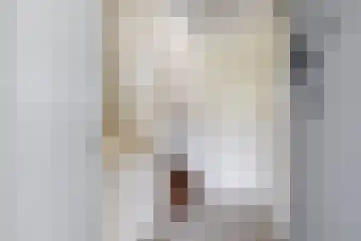 Kaagwerf 24 Gouda thumbnail 25