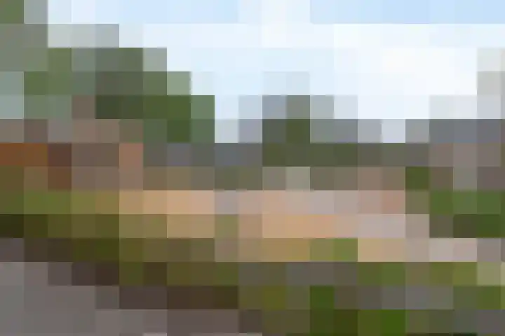 Kaagwerf 24 Gouda thumbnail 30