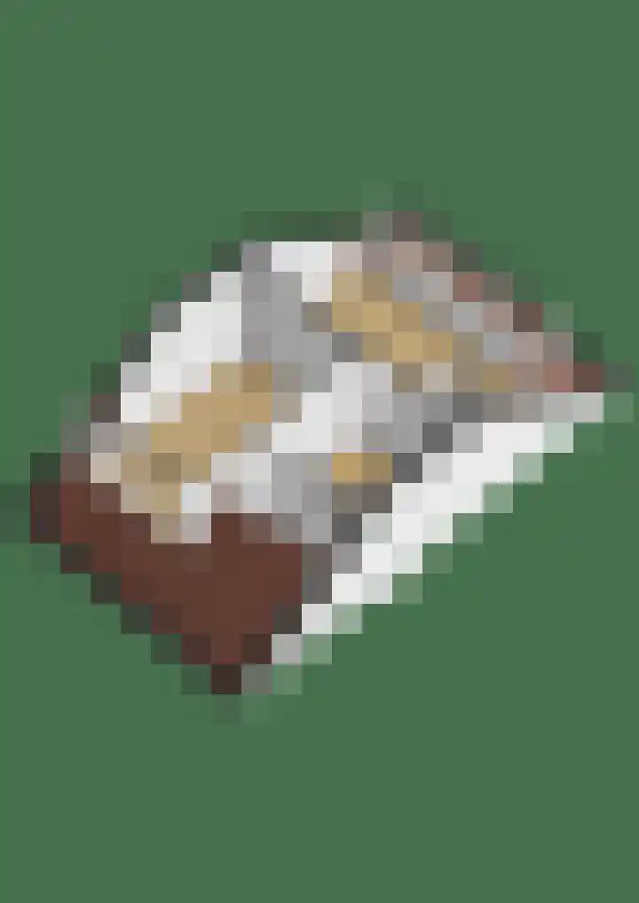 Kaagwerf 24 Gouda thumbnail 36