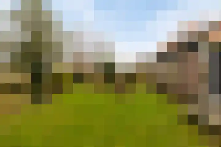 Kaaidijk 11 Wolphaartsdijk thumbnail 37