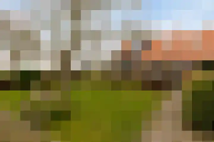 Kaaidijk 11 Wolphaartsdijk thumbnail 39
