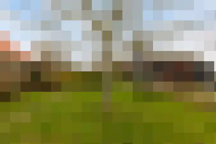 Kaaidijk 11 Wolphaartsdijk thumbnail 43