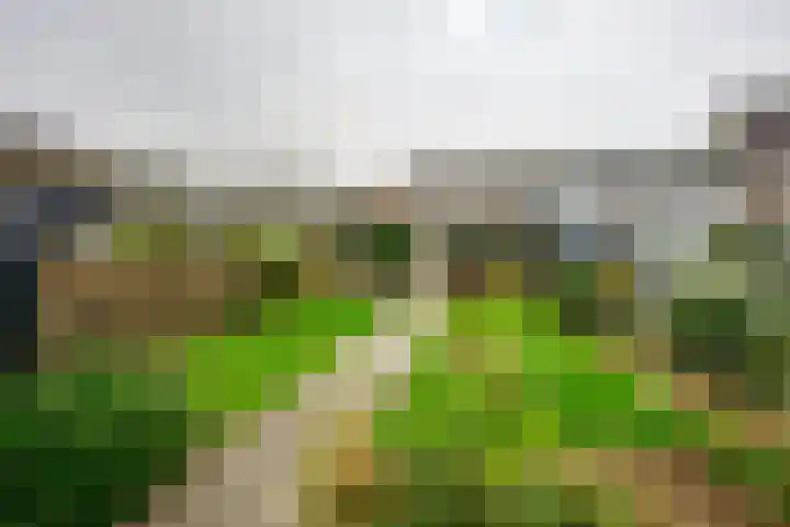 Kaaidijk 2 Herkingen thumbnail 11