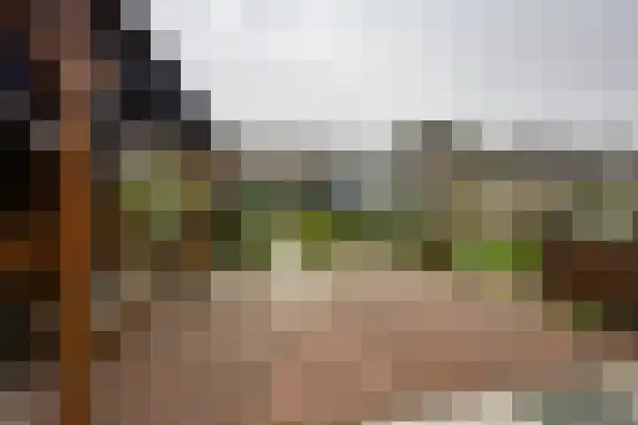 Kaaidijk 2 Herkingen thumbnail 12