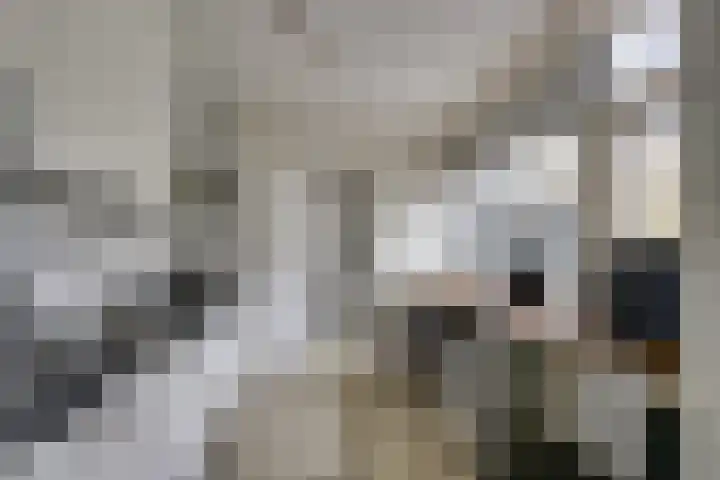 Kaaidijk 2 Herkingen thumbnail 20