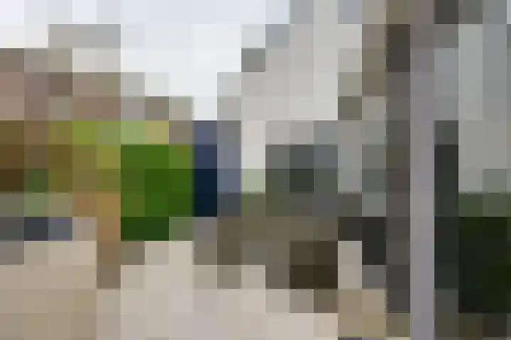 Kaaidijk 2 Herkingen thumbnail 25