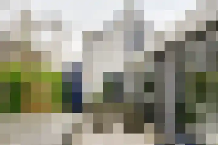 Kaaidijk 2 Herkingen thumbnail 26