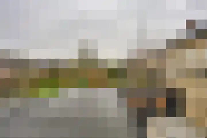 Kaaidijk 2 Herkingen thumbnail 39