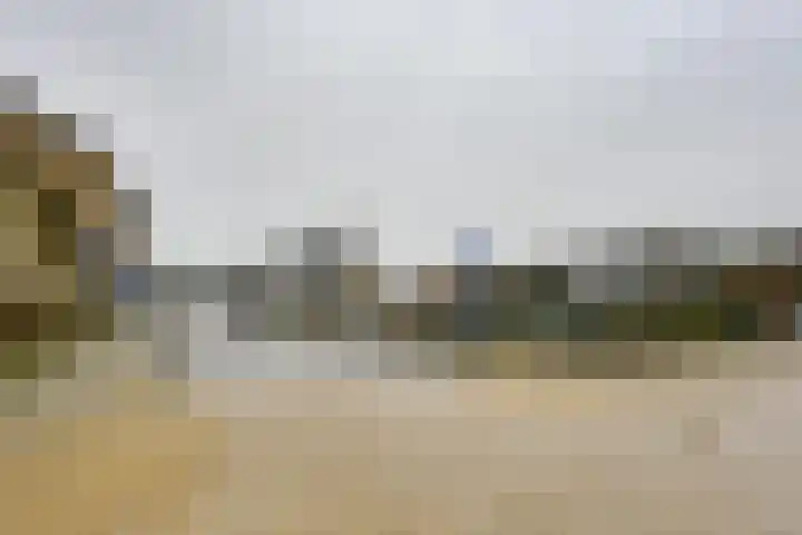 Kaaidijk 2 Herkingen thumbnail 6
