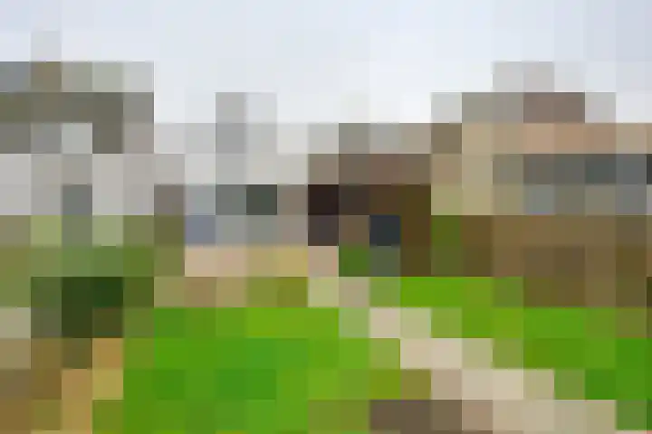 Kaaidijk 2 Herkingen thumbnail 9