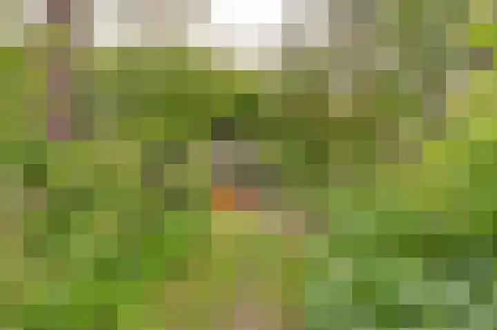 Kaaidijk 3 Wolphaartsdijk thumbnail 17