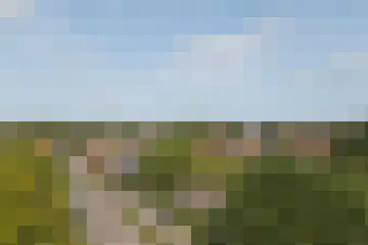 Kaaidijk 3 Wolphaartsdijk thumbnail 23