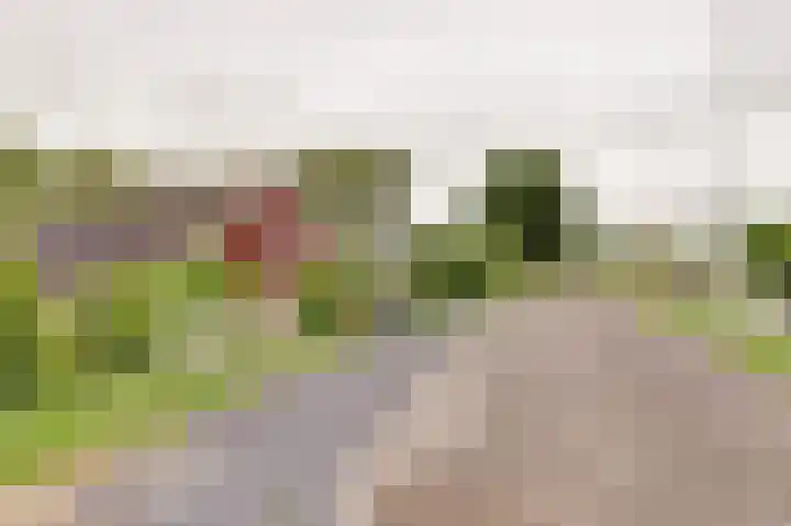 Kaaidijk 3 Wolphaartsdijk thumbnail 25