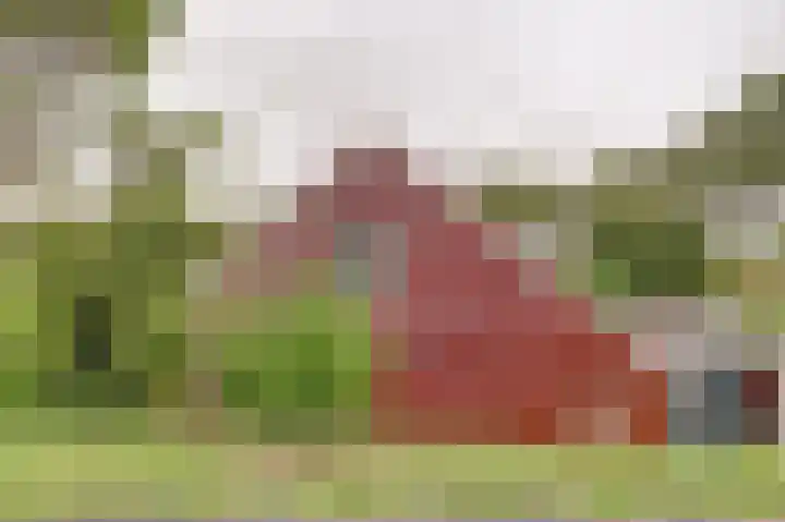 Kaaidijk 3 Wolphaartsdijk thumbnail 26