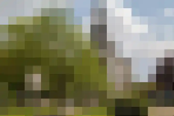 Kaaidijk 3 Wolphaartsdijk thumbnail 29