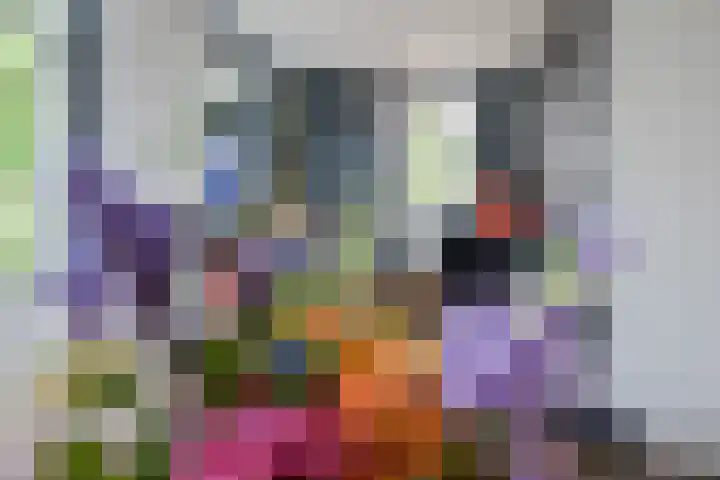 Kaapsehof 1 Doorn thumbnail 10