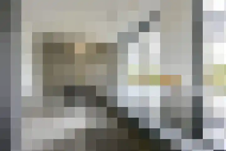 Kaapsehof 1 Doorn thumbnail 14
