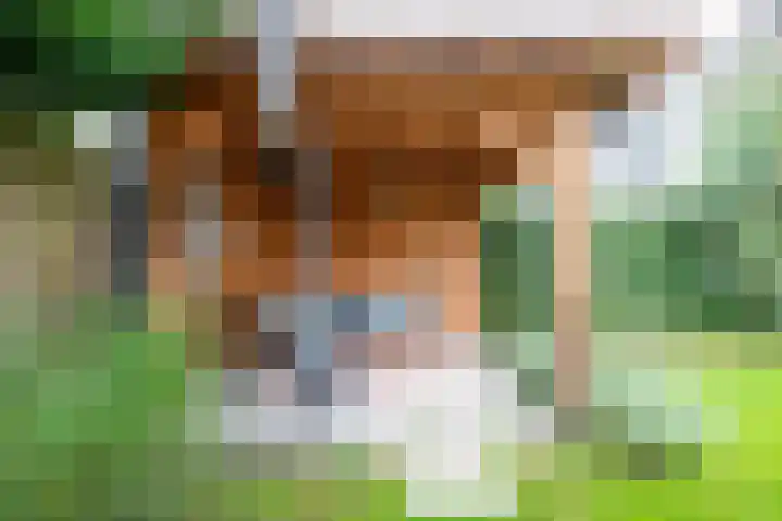 Kaapsehof 1 Doorn thumbnail 19