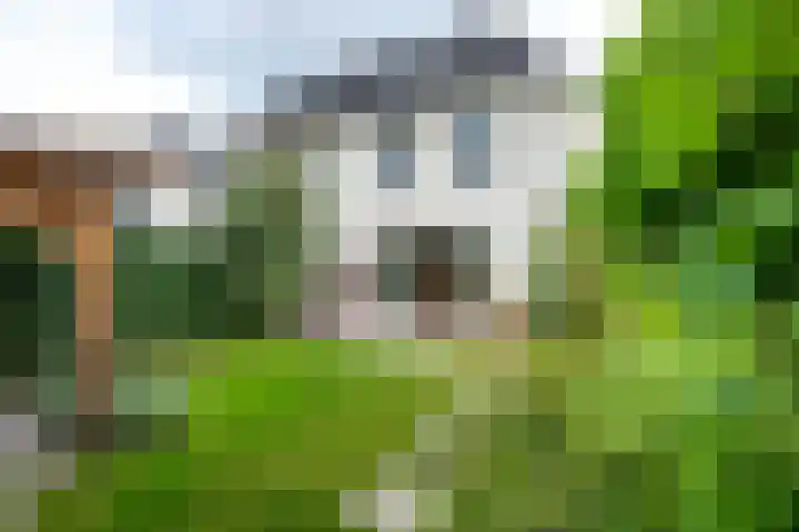 Kaapsehof 1 Doorn thumbnail 20