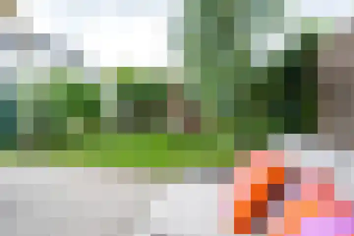 Kaapsehof 1 Doorn thumbnail 21