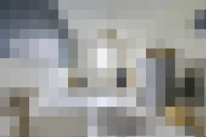 Kaapsehof 1 Doorn thumbnail 30