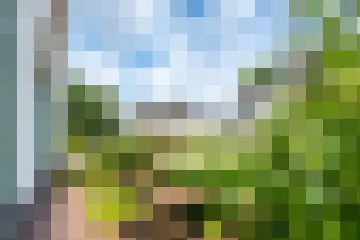 Kaapsehof 1 Doorn thumbnail 45